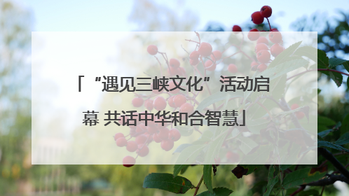 “遇见三峡文化”活动启幕 共话中华和合智慧