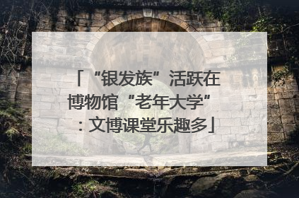 “银发族”活跃在博物馆“老年大学”：文博课堂乐趣多