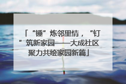 “锤”炼邻里情，“钉”筑新家园——大成社区聚力共绘家园新篇