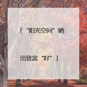 “阳光空间”晒出致富“籽”