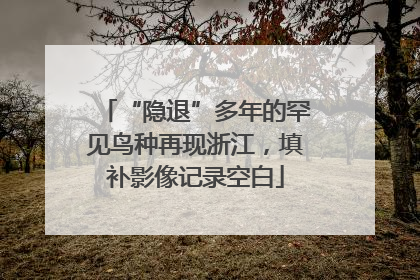 “隐退”多年的罕见鸟种再现浙江，填补影像记录空白