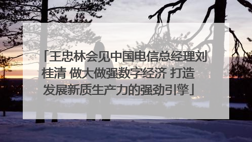 王忠林会见中国电信总经理刘桂清 做大做强数字经济 打造发展新质生产力的强劲引擎