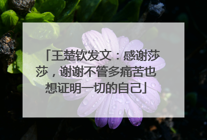 王楚钦发文：感谢莎莎，谢谢不管多痛苦也想证明一切的自己