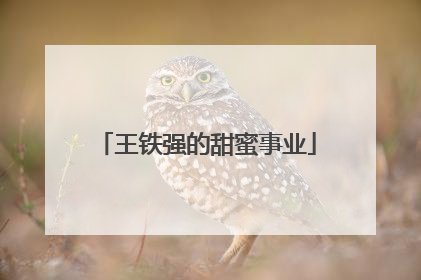 王铁强的甜蜜事业