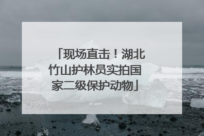 现场直击！湖北竹山护林员实拍国家二级保护动物