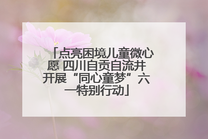 点亮困境儿童微心愿 四川自贡自流井开展“同心童梦”六一特别行动