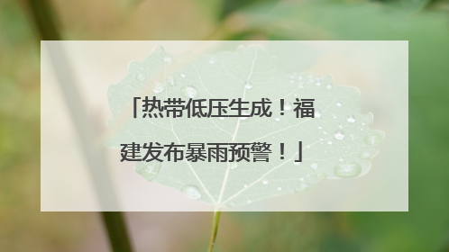 热带低压生成！福建发布暴雨预警！