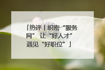 热评丨织密“服务网” 让“好人才”遇见“好职位”