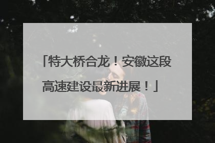 特大桥合龙！安徽这段高速建设最新进展！