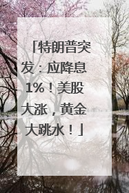 特朗普突发：应降息1%！美股大涨，黄金大跳水！