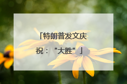 特朗普发文庆祝：“大胜”