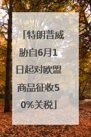 特朗普威胁自6月1日起对欧盟商品征收50%关税