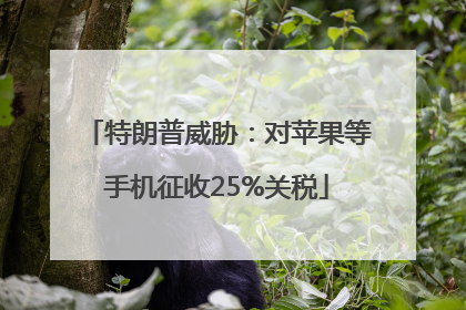 特朗普威胁：对苹果等手机征收25%关税