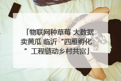 物联网种草莓 大数据卖黄瓜 临沂“四雁孵化”工程链动乡村共富