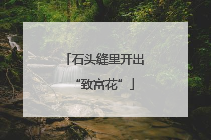 石头缝里开出“致富花”