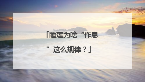 睡莲为啥“作息”这么规律？
