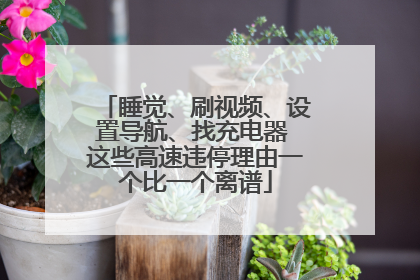 睡觉、刷视频、设置导航、找充电器 这些高速违停理由一个比一个离谱