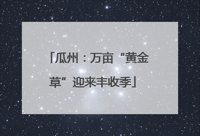 瓜州：万亩“黄金草”迎来丰收季