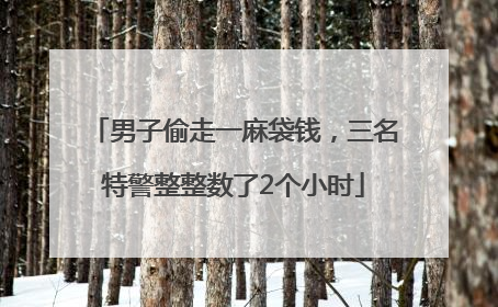 男子偷走一麻袋钱，三名特警整整数了2个小时