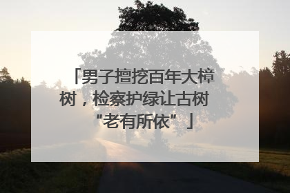 男子擅挖百年大樟树，检察护绿让古树“老有所依”