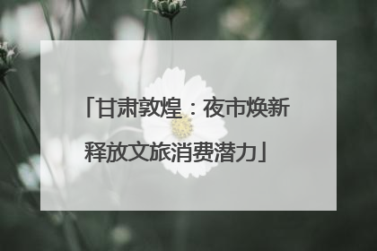 甘肃敦煌：夜市焕新释放文旅消费潜力