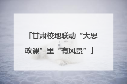 甘肃校地联动“大思政课”里“有风景”