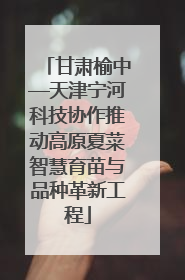 甘肃榆中—天津宁河科技协作推动高原夏菜智慧育苗与品种革新工程