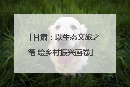 甘肃：以生态文旅之笔 绘乡村振兴画卷