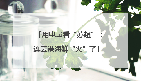 用电量看“苏超”：连云港海鲜“火”了