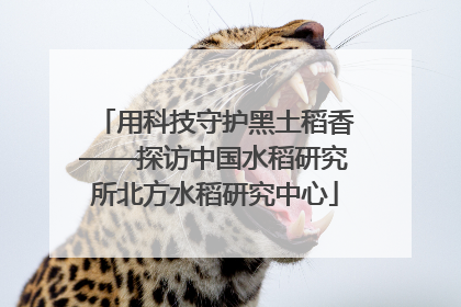 用科技守护黑土稻香——探访中国水稻研究所北方水稻研究中心