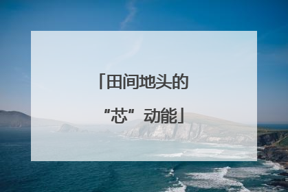 田间地头的“芯”动能