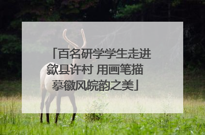 百名研学学生走进歙县许村 用画笔描摹徽风皖韵之美