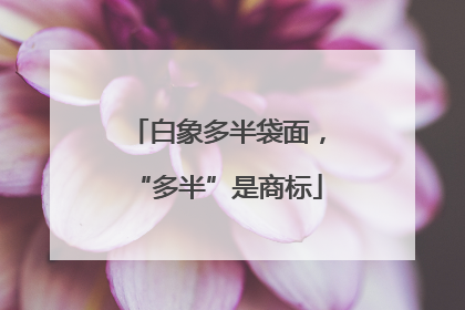 白象多半袋面，“多半”是商标
