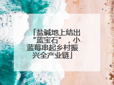 盐碱地上结出“蓝宝石”，小蓝莓串起乡村振兴全产业链