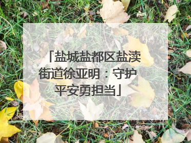 盐城盐都区盐渎街道徐亚明：守护平安勇担当