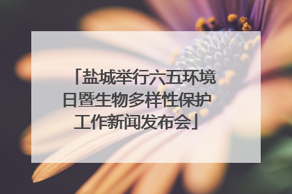 盐城举行六五环境日暨生物多样性保护工作新闻发布会