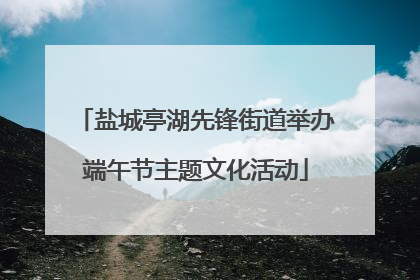 盐城亭湖先锋街道举办端午节主题文化活动