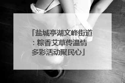 盐城亭湖文峰街道：粽香艾草传温情 多彩活动聚民心