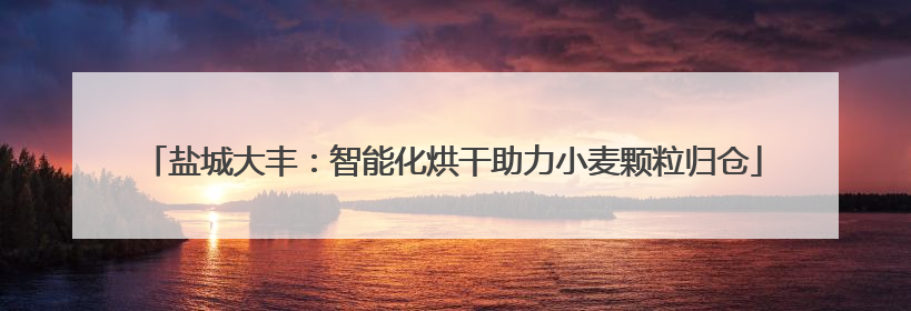盐城大丰：智能化烘干助力小麦颗粒归仓