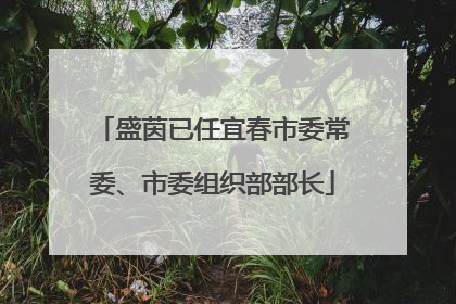 盛茵已任宜春市委常委、市委组织部部长