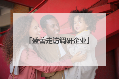 盛蕾走访调研企业