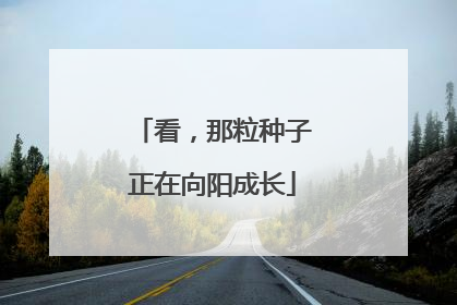 看，那粒种子正在向阳成长
