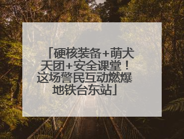 硬核装备+萌犬天团+安全课堂！这场警民互动燃爆地铁台东站