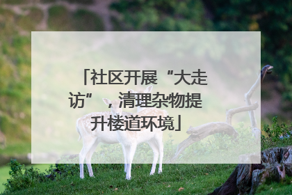社区开展“大走访”，清理杂物提升楼道环境