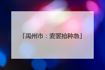 禹州市：麦罢抢种急