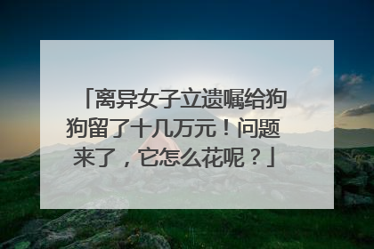 离异女子立遗嘱给狗狗留了十几万元！问题来了，它怎么花呢？