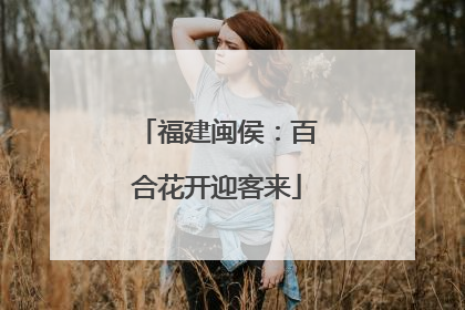 福建闽侯：百合花开迎客来