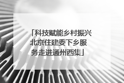 科技赋能乡村振兴 北京住建委下乡服务走进通州西集