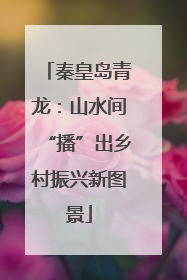 秦皇岛青龙：山水间“播”出乡村振兴新图景