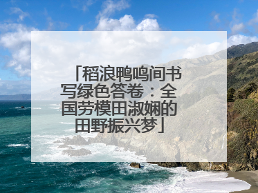 稻浪鸭鸣间书写绿色答卷：全国劳模田淑娴的田野振兴梦